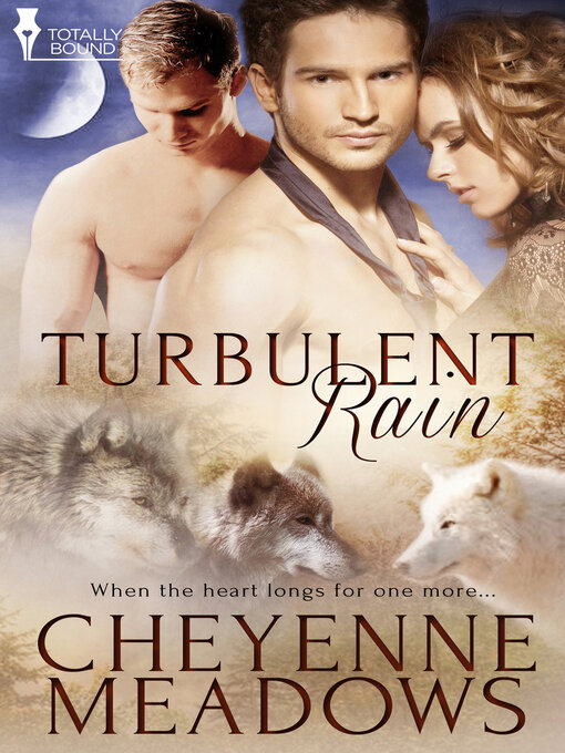Cover image for Turbulent Rain
